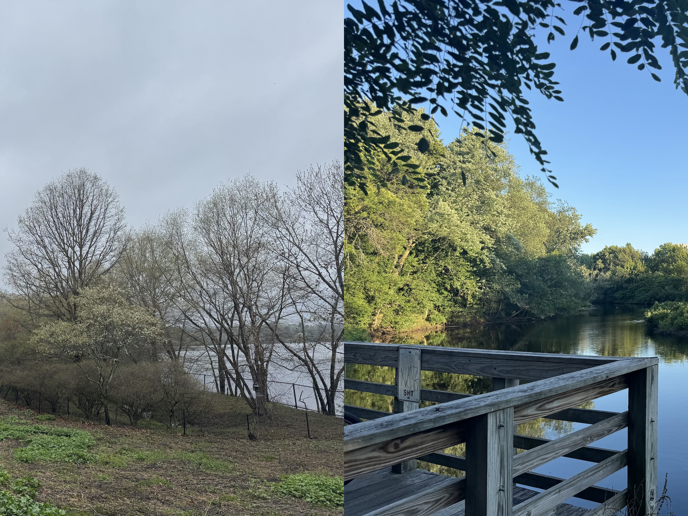 Landscapes in the spring and summer