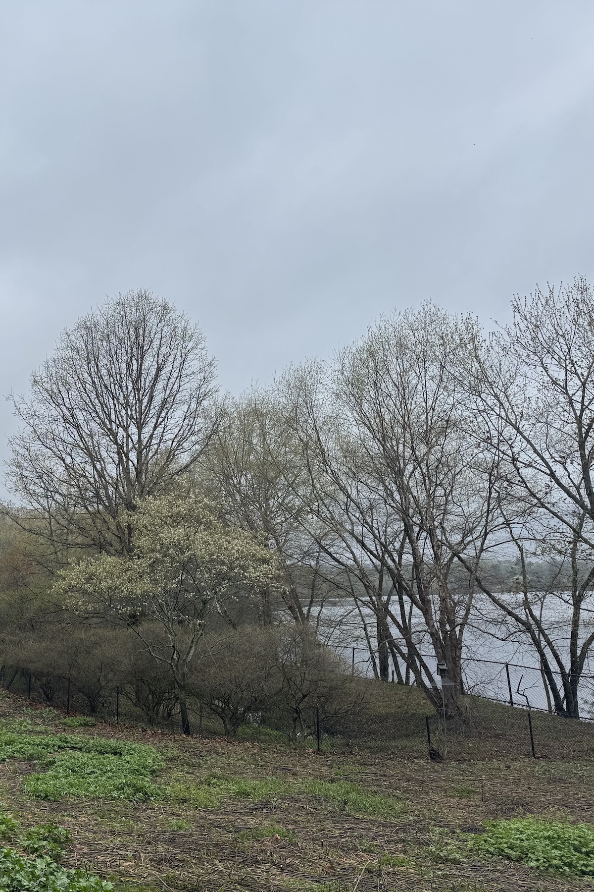 Landscape in the spring